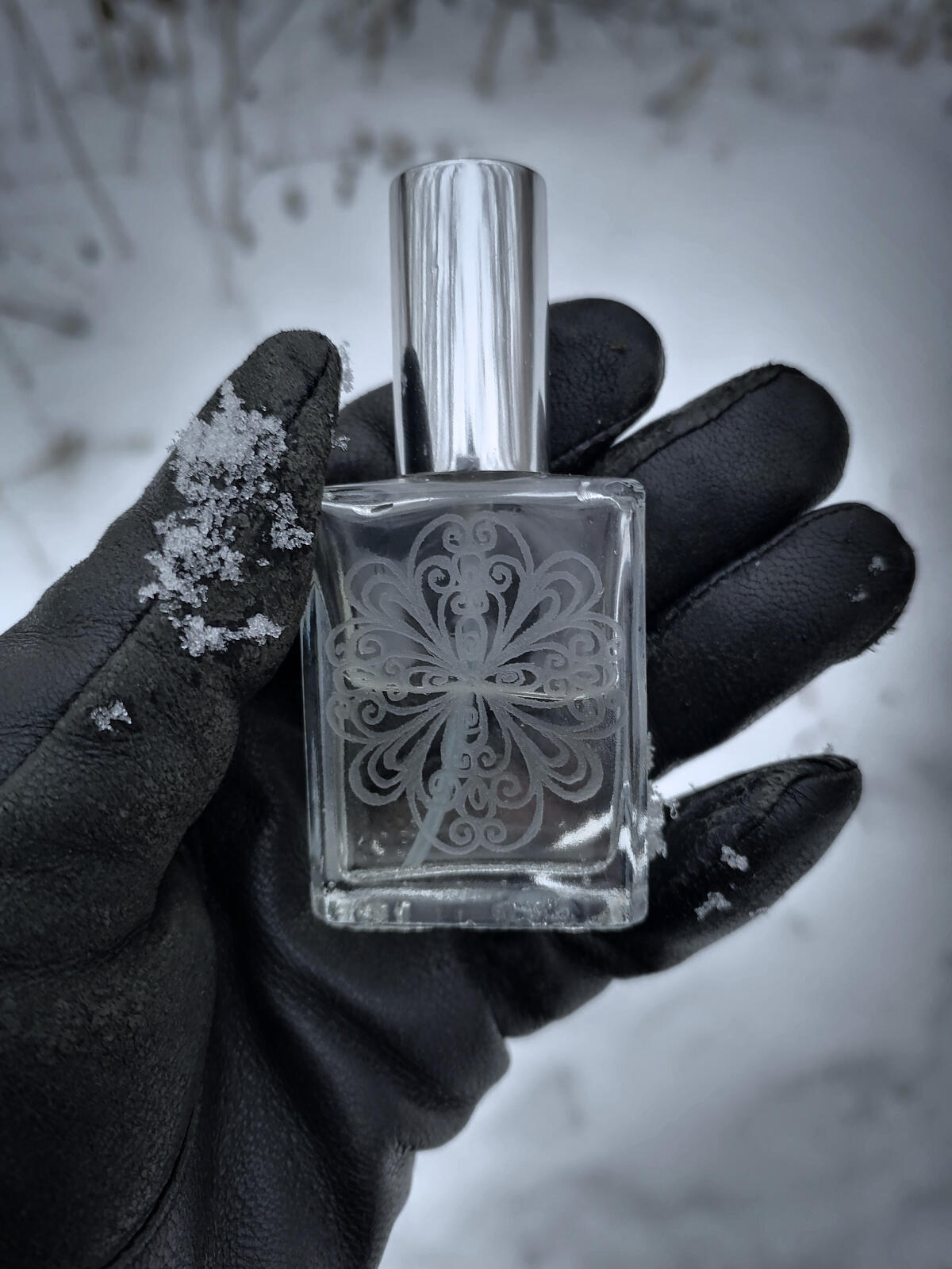 عطر ادکلن واتر آو لایف ژیوا وادا لادانیکا - Water of Life Живая Вода Ladanika - بررسی، قیمت و خرید