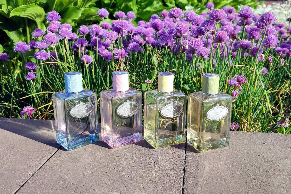 عطر ادکلن اینفیوژن د وِتیوِر پرادا - Infusion de Vetiver (2015) Prada - بررسی، قیمت و خرید