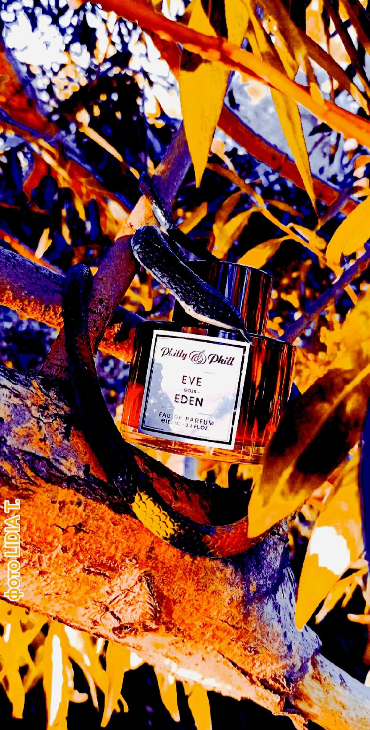 عطر ادکلن ایو گوز ادن فیلادلفیا - Eve Goes Eden Philly&Phill - بررسی، قیمت و خرید