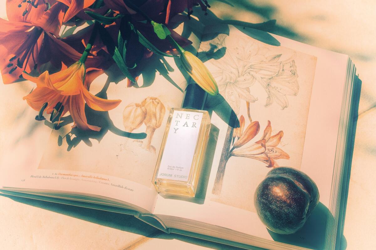 عطر ادکلن نکتری جوروم استودیو - Nectary Jorum Studio - بررسی، قیمت و خرید