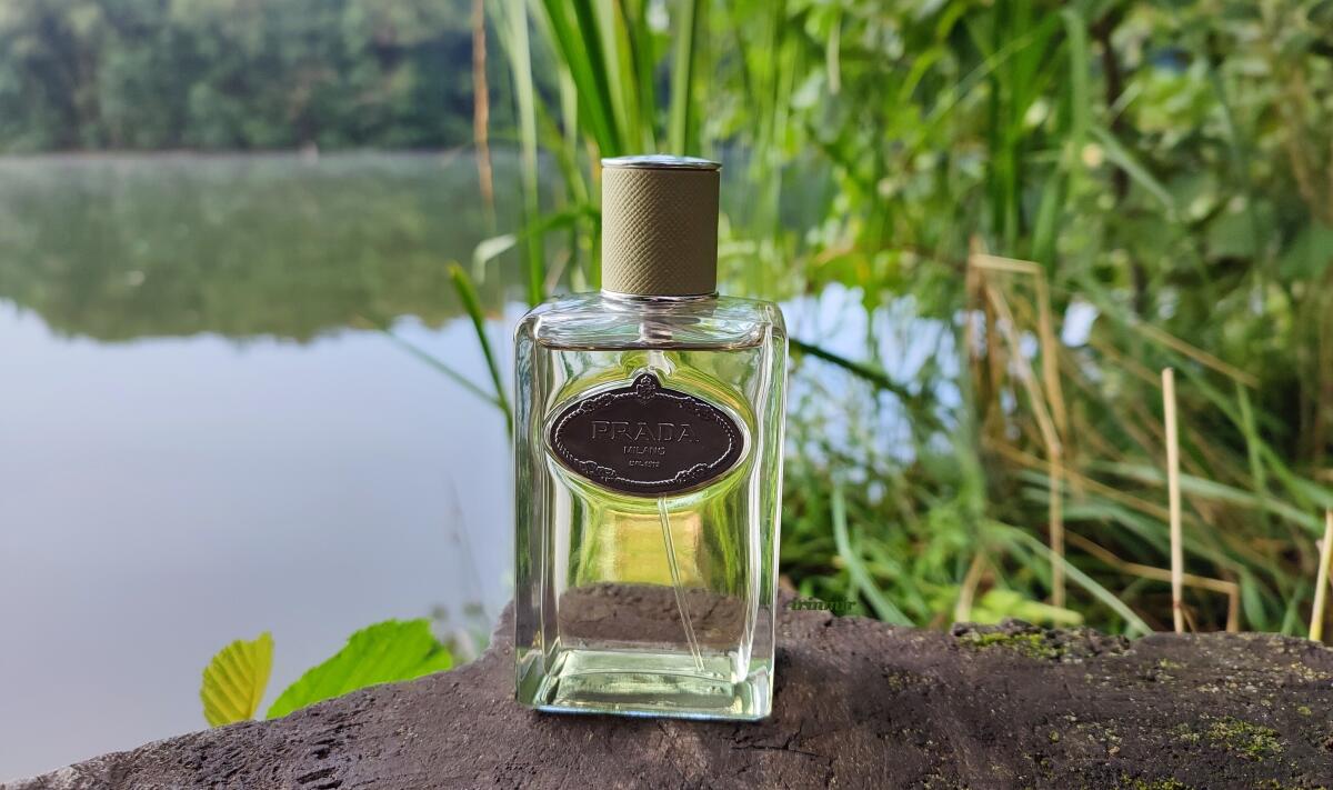 عطر ادکلن اینفیوژن د وِتیوِر پرادا - Infusion de Vetiver (2015) Prada - بررسی، قیمت و خرید