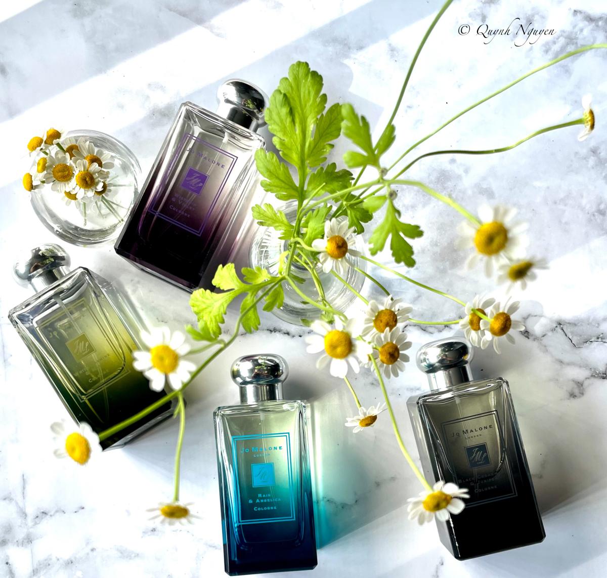 عطر ادکلن لندن رین وایت جاسمین اند مینت جو مالون لاندن - London Rain White Jasmine & Mint Jo Malone London - بررسی، قیمت و خرید
