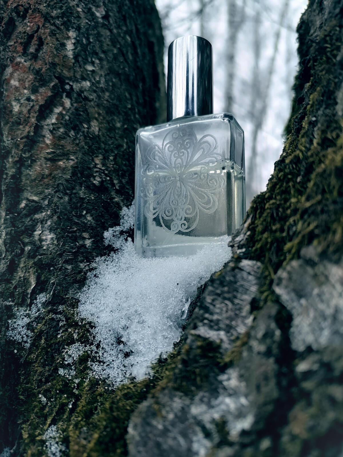 عطر ادکلن واتر آو لایف ژیوا وادا لادانیکا - Water of Life Живая Вода Ladanika - بررسی، قیمت و خرید