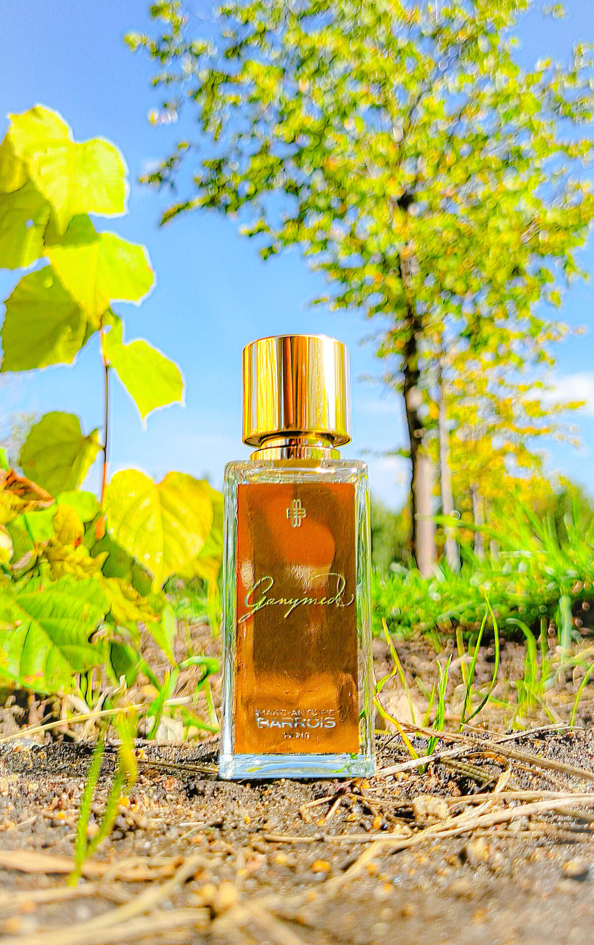 عطر ادکلن گنیمید مارک آنتوان باروآ - Ganymede Marc-Antoine Barrois - بررسی، قیمت و خرید