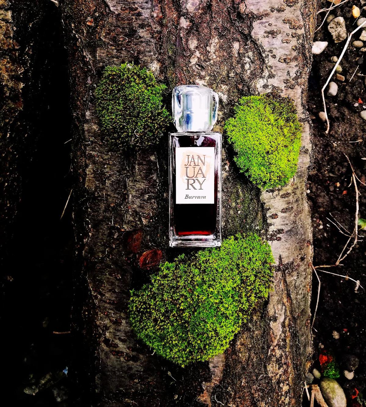عطر ادکلن برووُوُ جنیوری سنت پروجکت - Burvuvu January Scent Project - بررسی، قیمت و خرید