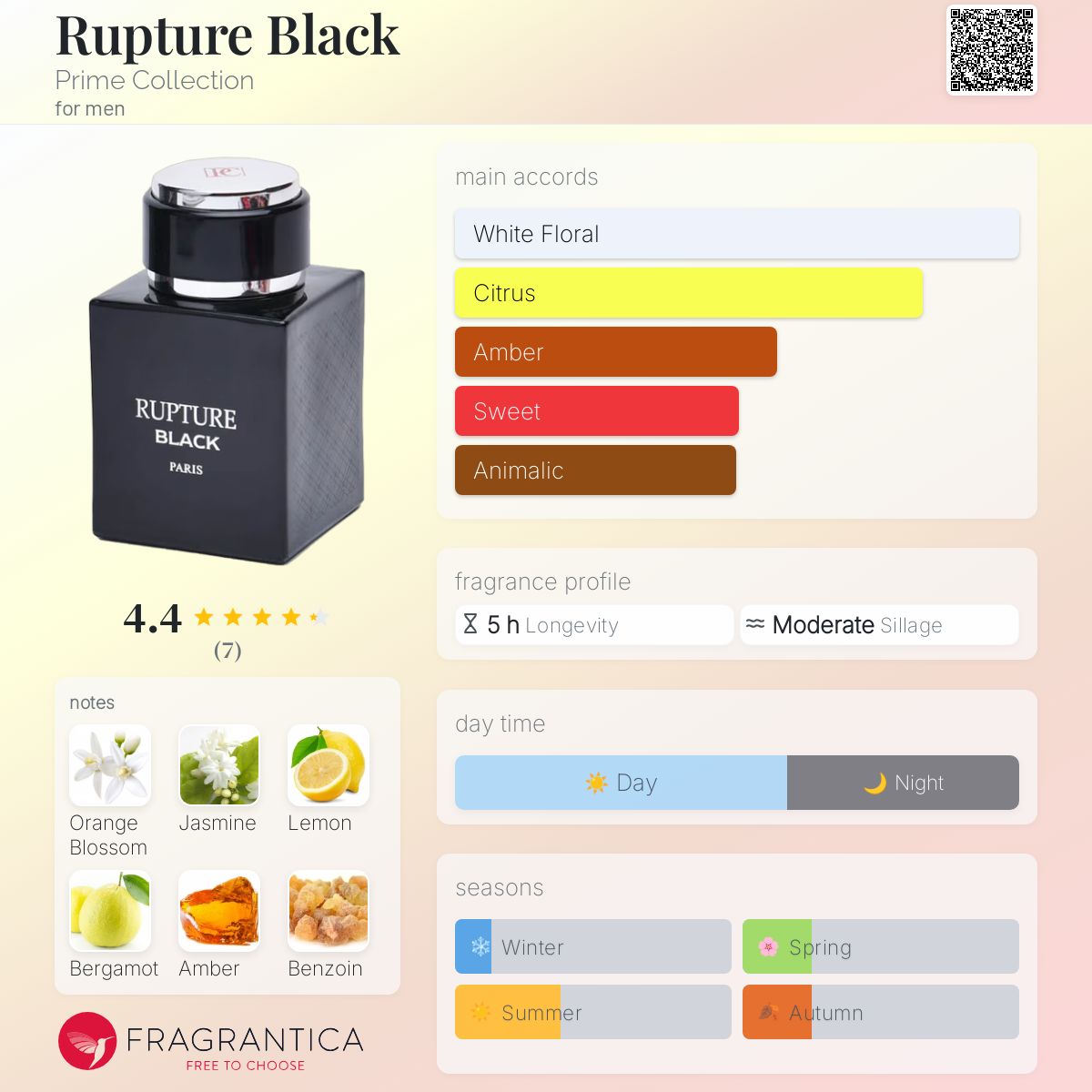 عطر ادکلن راپچر بلک پرایم کالکشن - Rupture Black Prime Collection - بررسی، قیمت و خرید