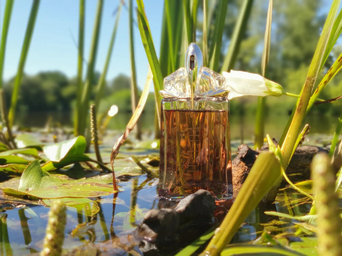 عطر ادکلن اِیلیِن میراج موگلر - Alien Mirage Mugler - بررسی، قیمت و خرید
