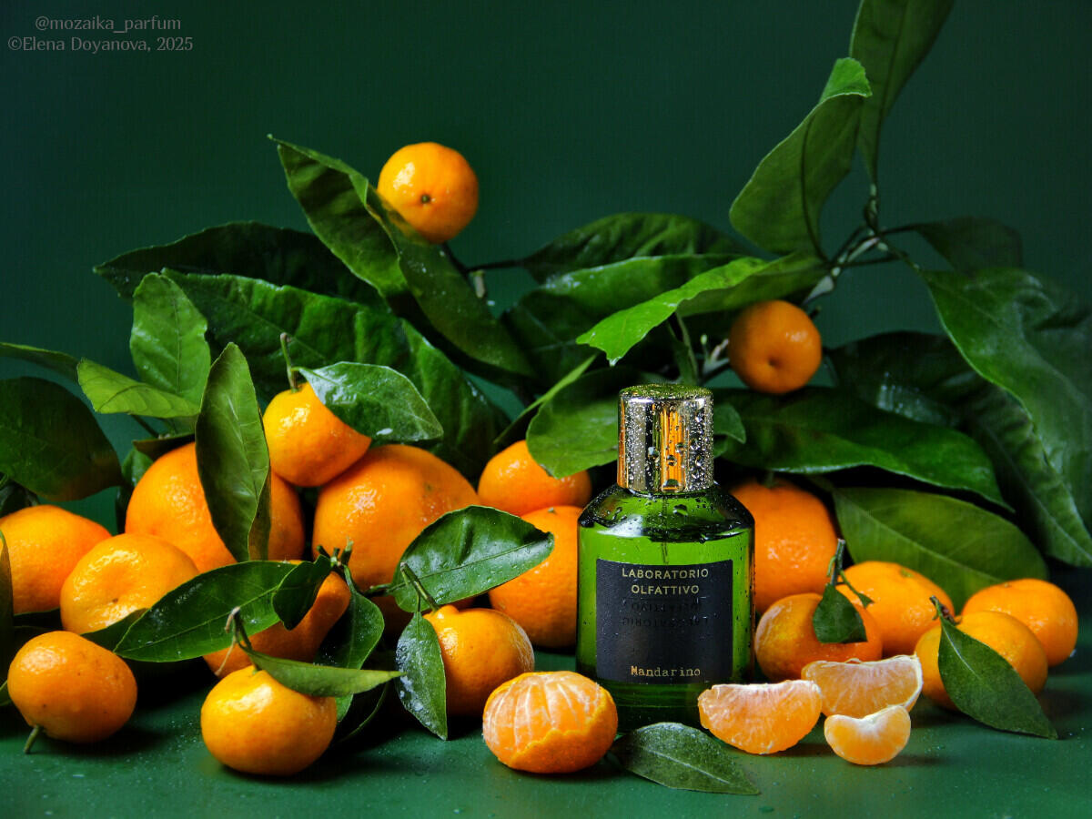 عطر ادکلن مندارینو لابراتوریو الفاتیوو - Mandarino Laboratorio Olfattivo - بررسی، قیمت و خرید