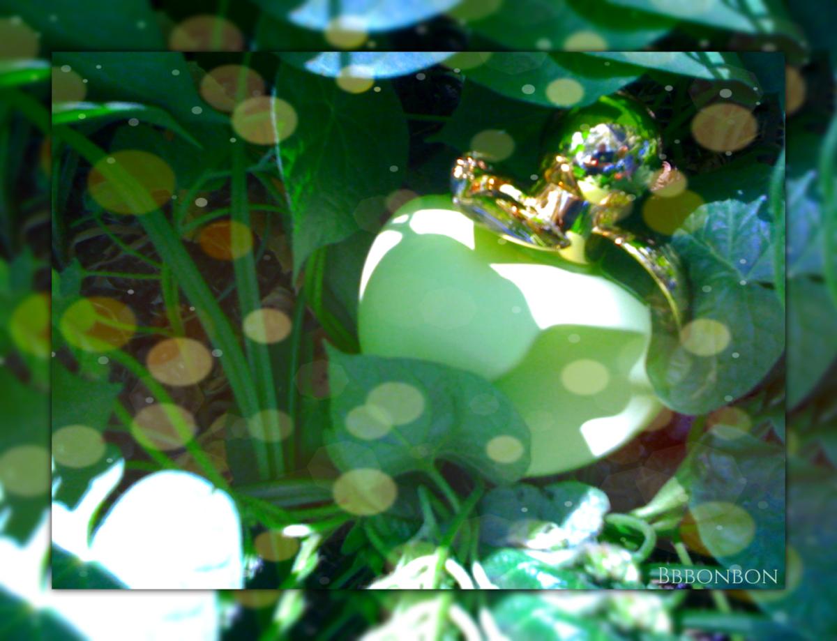 عطر ادکلن لس سوربه د بلا نینا ریچی - Les Sorbets de Bella Nina Ricci - بررسی، قیمت و خرید