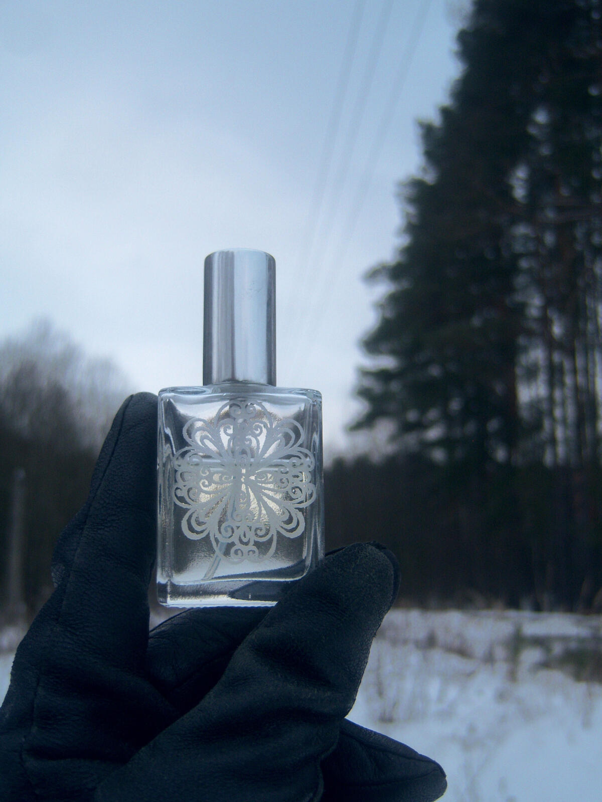 عطر ادکلن واتر آو لایف ژیوا وادا لادانیکا - Water of Life Живая Вода Ladanika - بررسی، قیمت و خرید