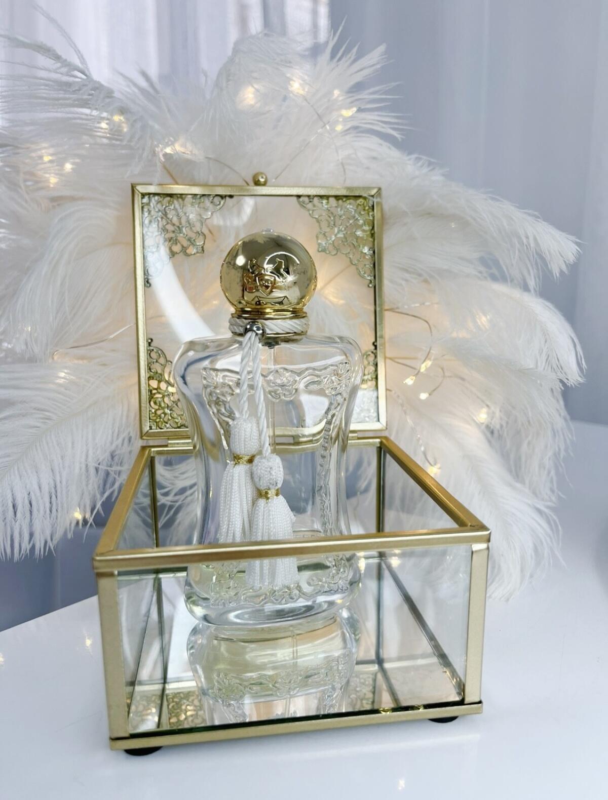 عطر ادکلن ملیورا پرفیوم د مارلی - Meliora Parfums de Marly - بررسی، قیمت و خرید