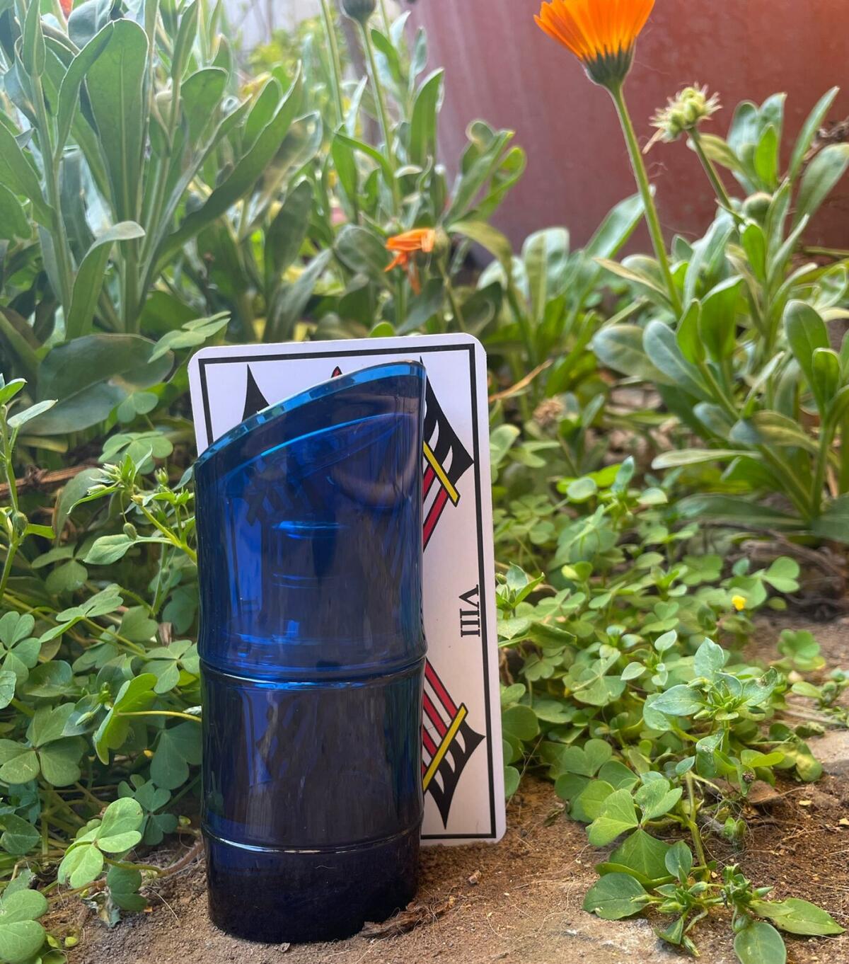 عطر ادکلن کنزو هوم او دو تویلت اینتنس کنزو - Kenzo Homme Eau de Toilette Intense Kenzo - بررسی، قیمت و خرید