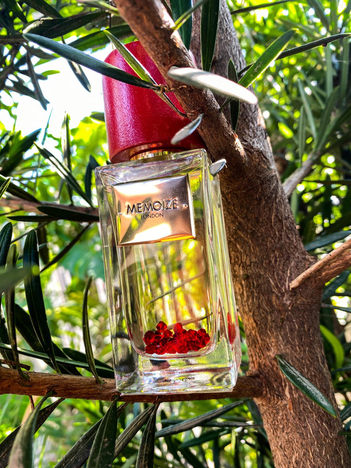 عطر ادکلن غزال مموآیز لندن - Ghzalh Memoize London - بررسی، قیمت و خرید