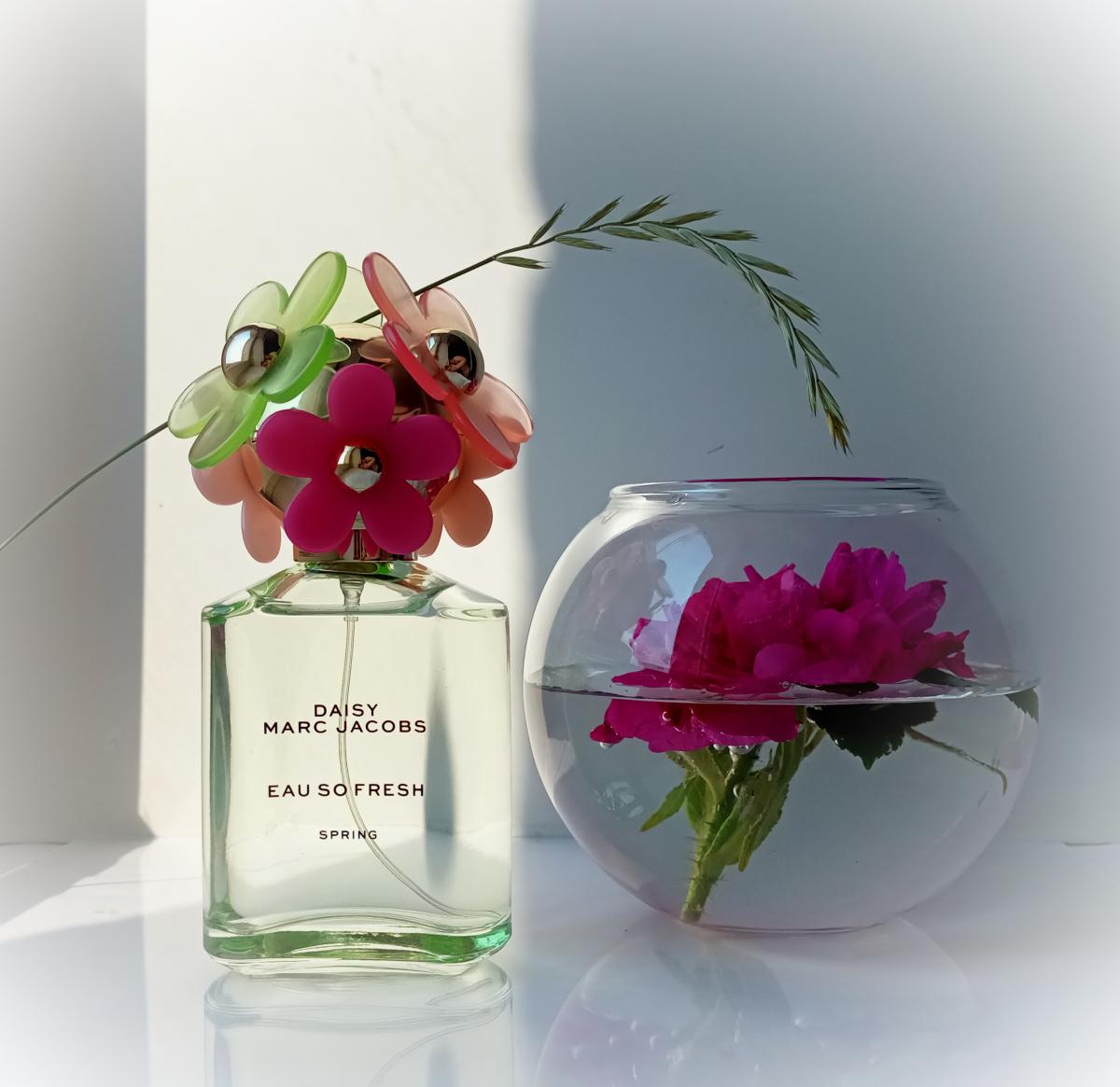 عطر ادکلن دیزی او سو فرش اسپرینگ مارک جیکوبز - Daisy Eau So Fresh Spring Marc Jacobs - بررسی، قیمت و خرید