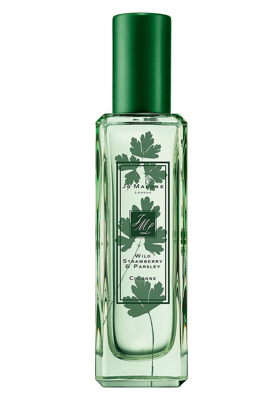 عطر ادکلن وایلد استرابری اند پارسلی جو مالون لاندن - Wild Strawberry & Parsley Jo Malone London - بررسی، قیمت و خرید