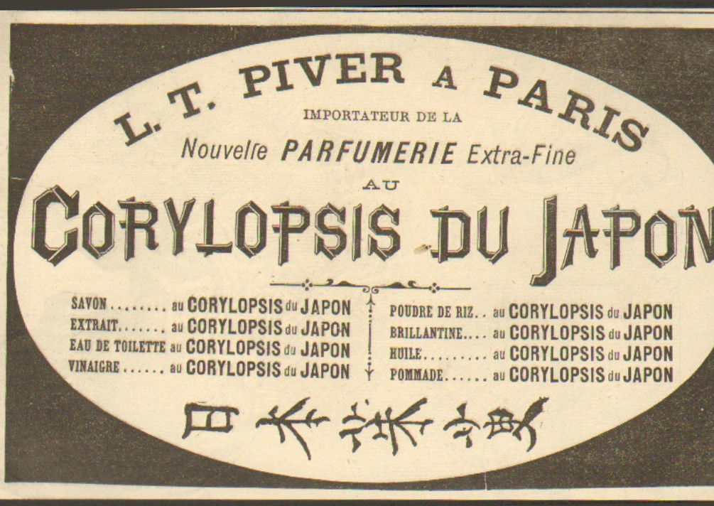 عطر ادکلن کوریلوپسیس دو ژاپن اِل تی پیور - Corylopsis du Japon L.T. Piver - بررسی، قیمت و خرید