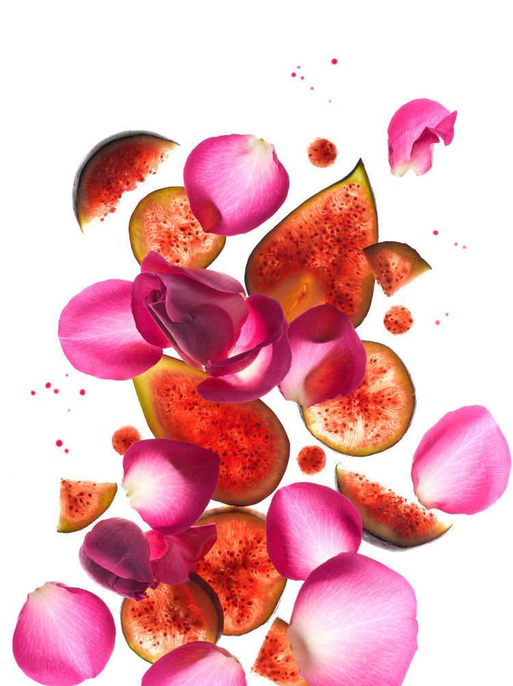 عطر ادکلن فیگوییِر اَند رُز لوکسیتان - Figuier & Rose L'Occitane en Provence - بررسی، قیمت و خرید