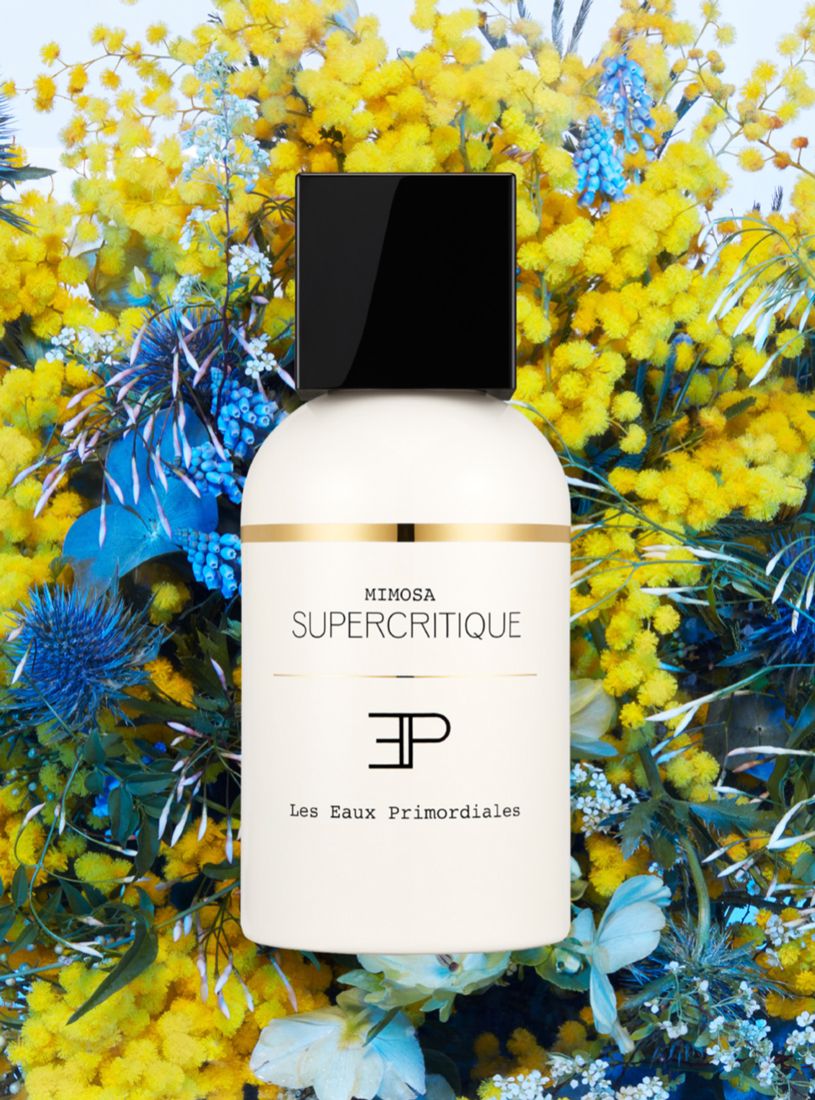 عطر ادکلن میموسا سوپریکرتیک لز او پریمودیال - Mimosa Supercritique Les EAUX Primordiales - بررسی، قیمت و خرید