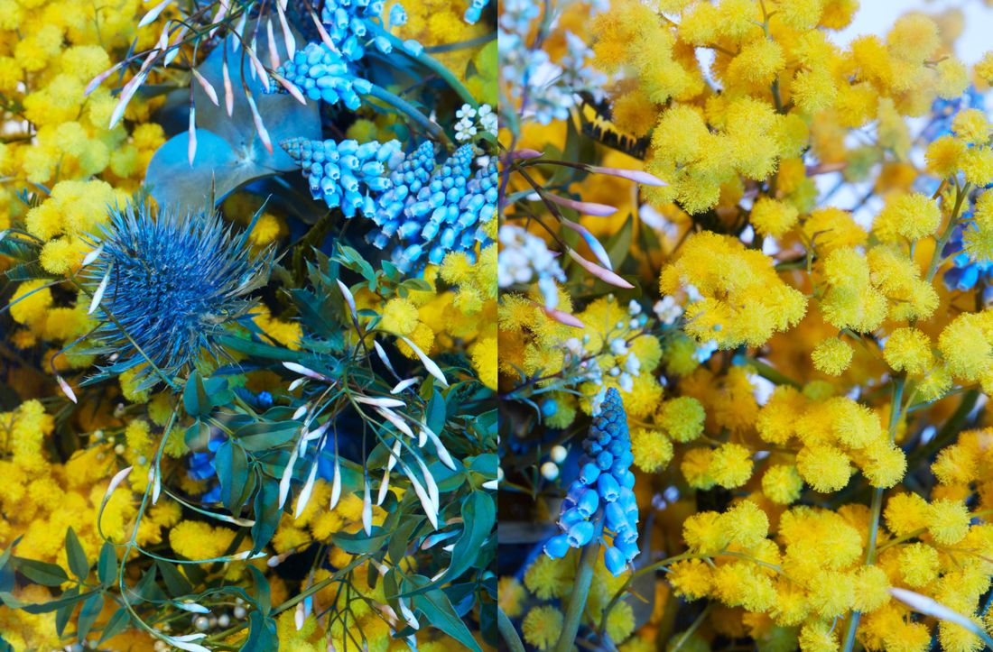 عطر ادکلن میموسا سوپریکرتیک لز او پریمودیال - Mimosa Supercritique Les EAUX Primordiales - بررسی، قیمت و خرید