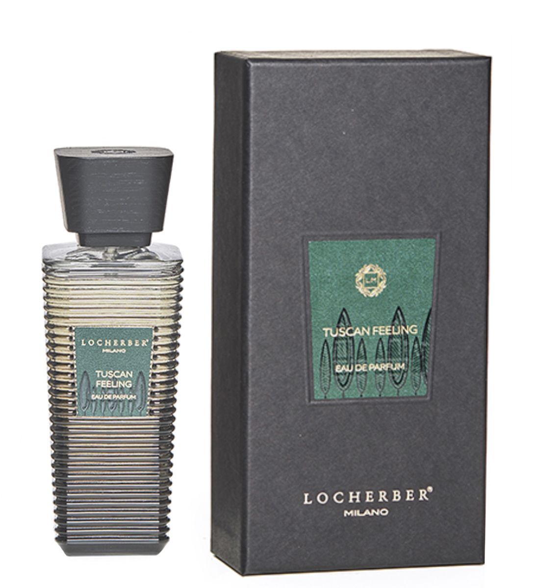 عطر ادکلن توسکان فیلینگ لوچربر میلانو - Tuscan Feeling Locherber Milano - بررسی، قیمت و خرید