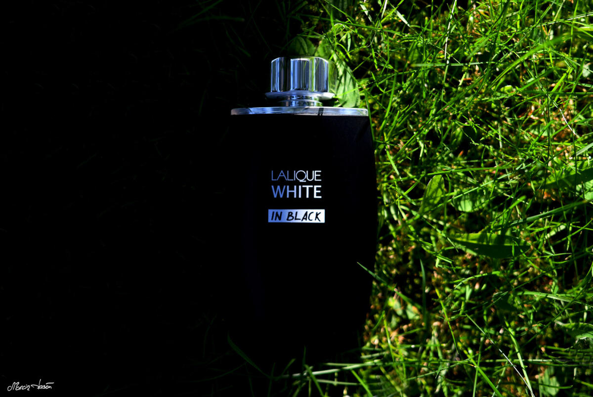 عطر ادکلن لالیک وایت این بلک لالیک - Lalique White in Black Lalique - بررسی، قیمت و خرید