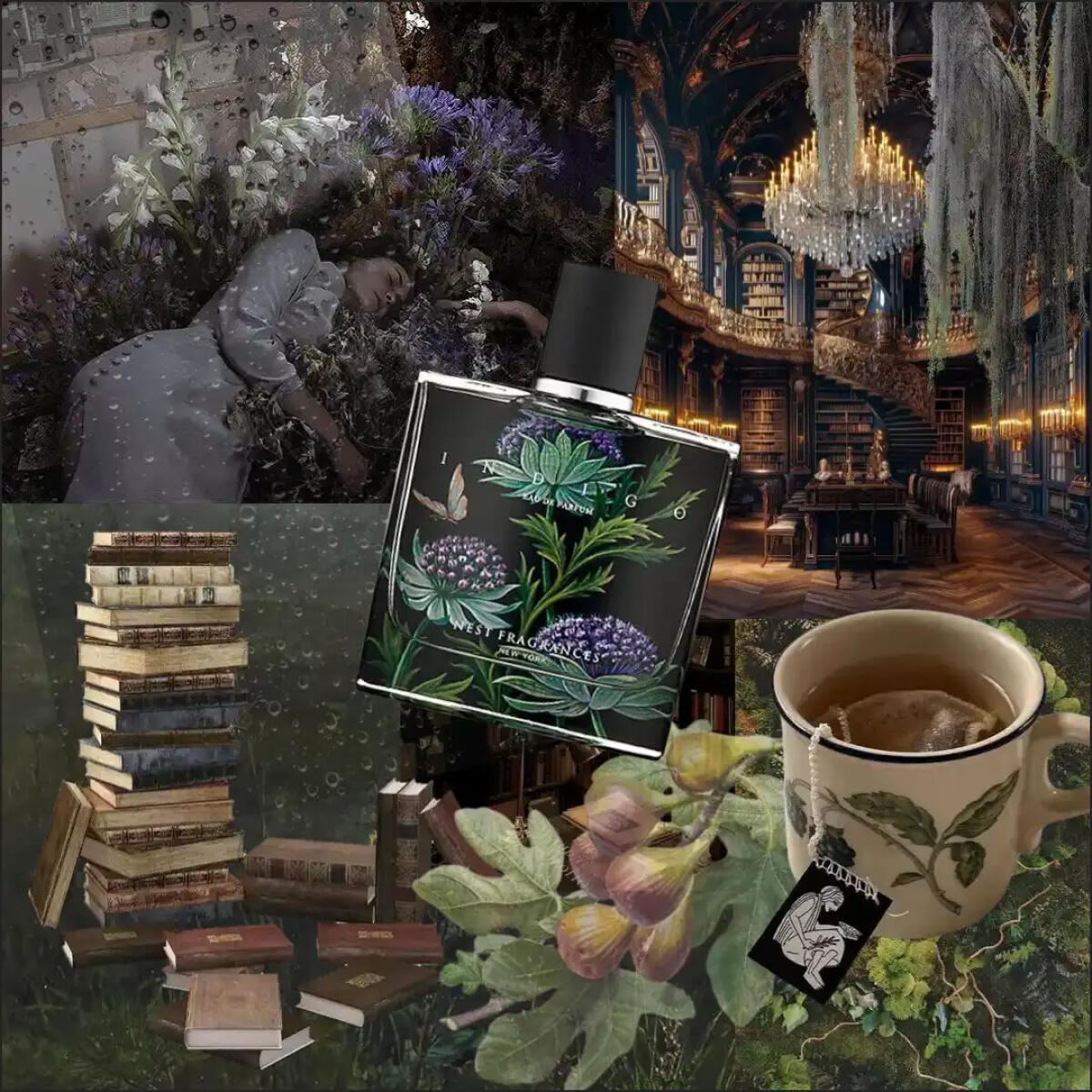 عطر ادکلن ایندیگو نست - Indigo Nest - بررسی، قیمت و خرید