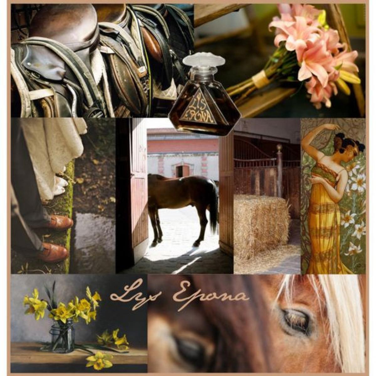 عطر ادکلن لیس اپونا ژووی پاریس - Lys Epona Jovoy Paris - بررسی، قیمت و خرید