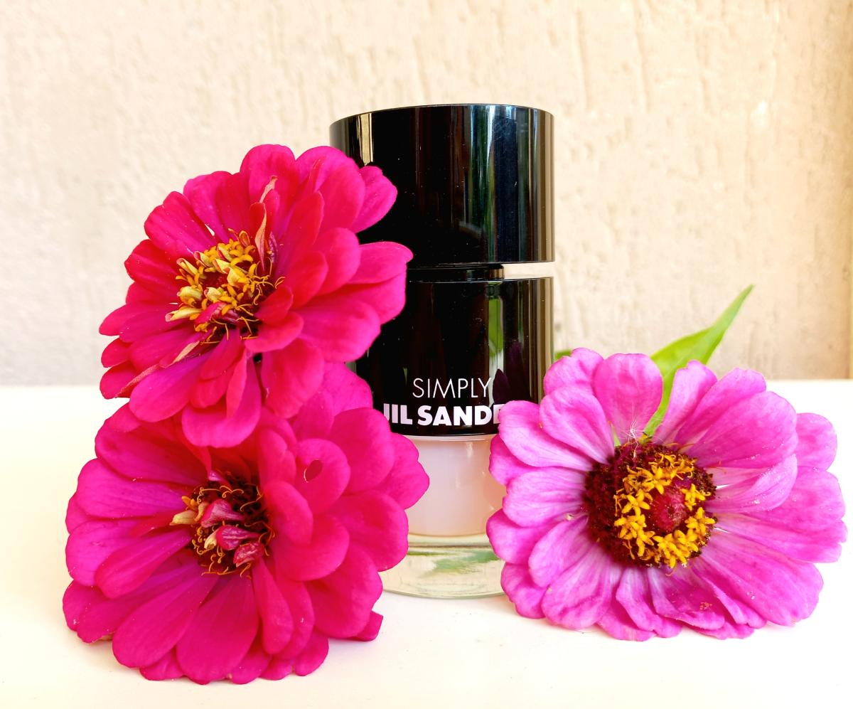 عطر ادکلن سیمپلی جیل ساندر پودره جیل سندر - Simply Jil Sander Poudrée Jil Sander - بررسی، قیمت و خرید