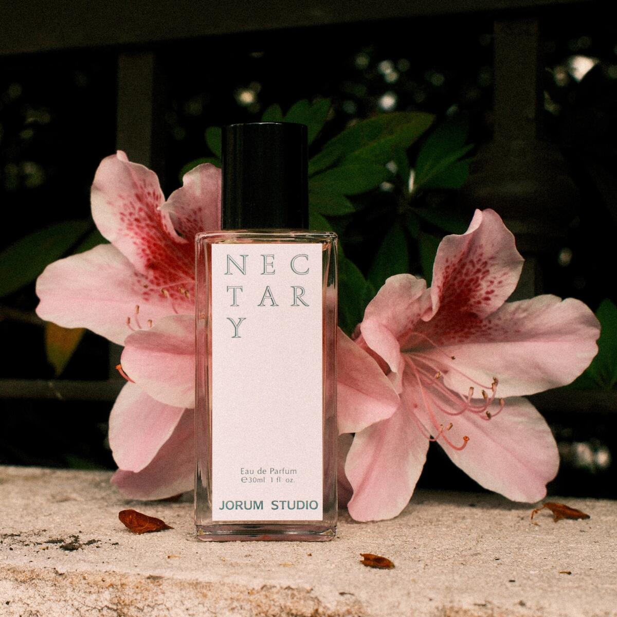 عطر ادکلن نکتری جوروم استودیو - Nectary Jorum Studio - بررسی، قیمت و خرید