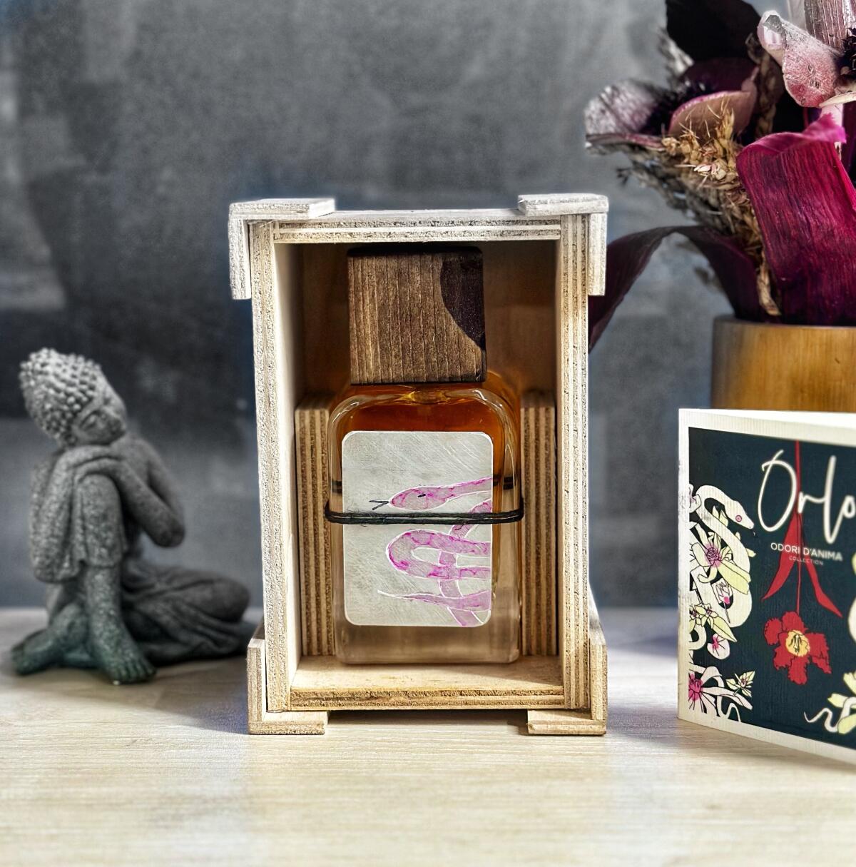 عطر ادکلن اورلو مندیتوروسا - Orlo Mendittorosa - بررسی، قیمت و خرید
