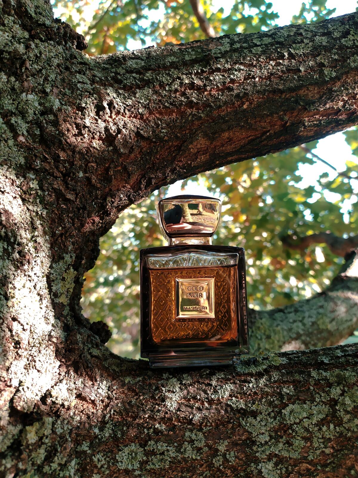 عطر ادکلن گلد نویر ماجوری - Gold Noir Majouri - بررسی، قیمت و خرید