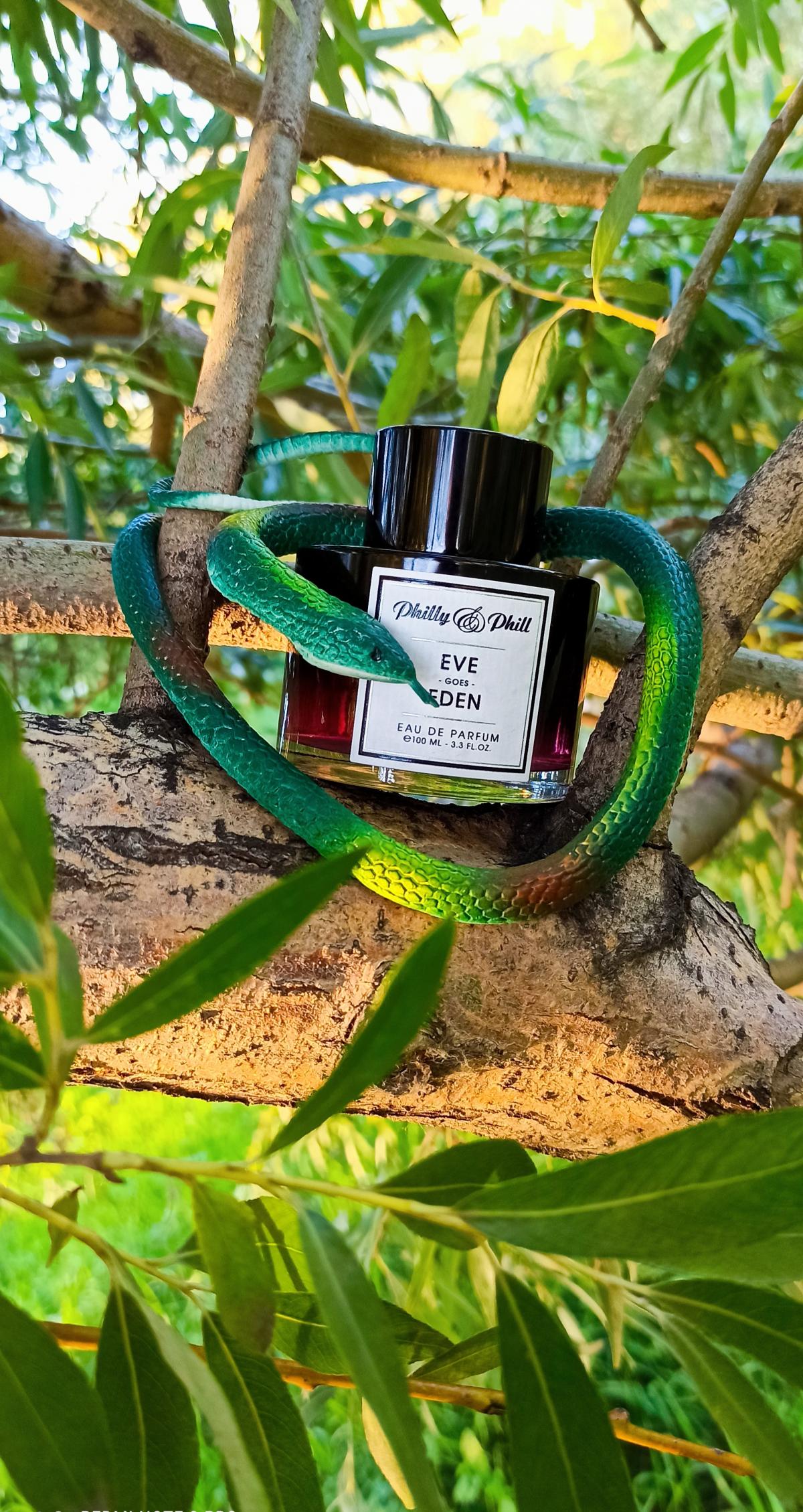 عطر ادکلن ایو گوز ادن فیلادلفیا - Eve Goes Eden Philly&Phill - بررسی، قیمت و خرید