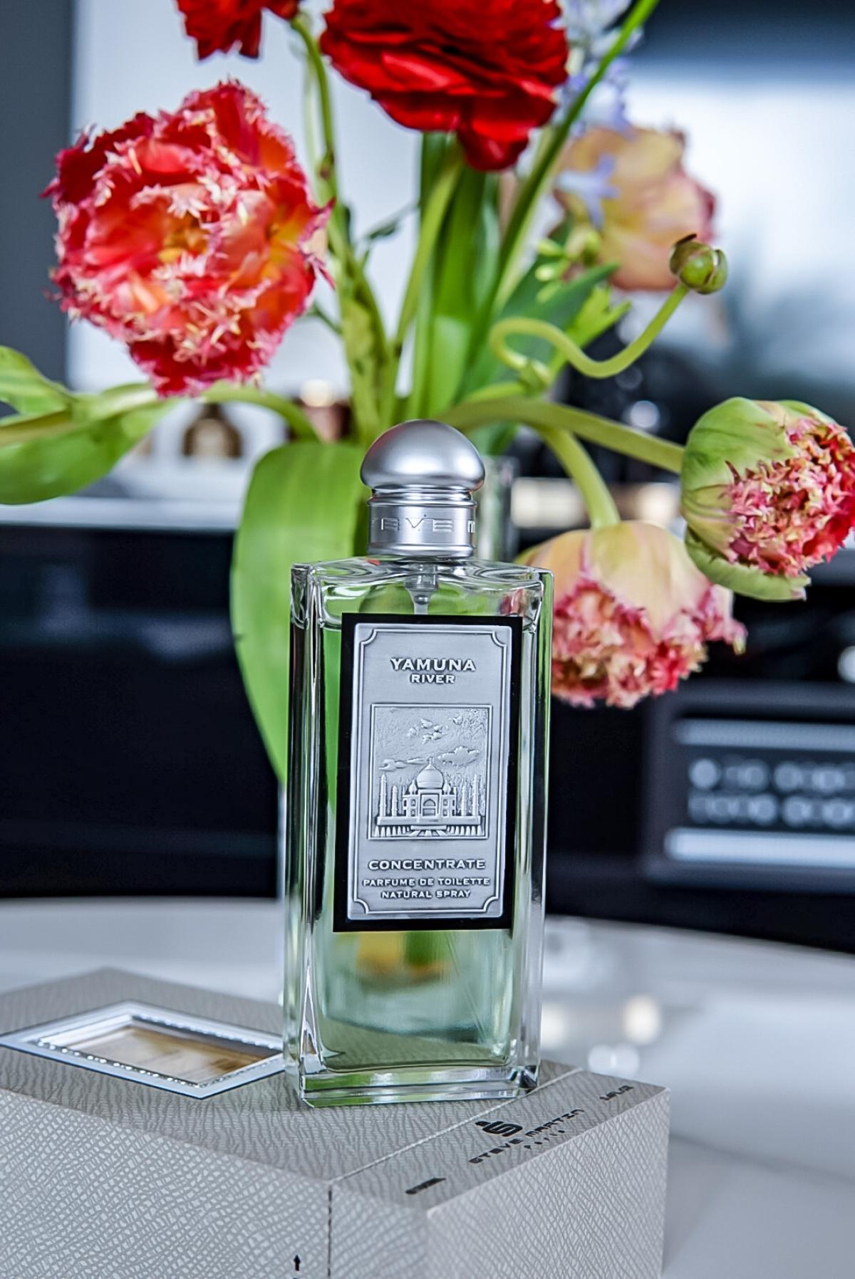 عطر ادکلن یمونا ریور استیو مارتین پاریس - Yamuna River Steve Martin Paris - بررسی، قیمت و خرید