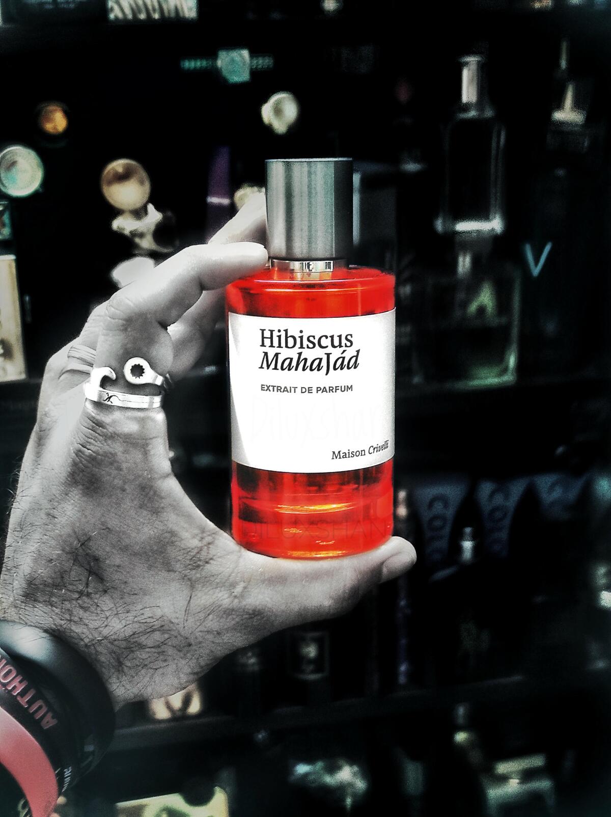 عطر ادکلن حیبیسکوس مهاجاد مزان کریوی - Hibiscus Mahajád Maison Crivelli - بررسی، قیمت و خرید