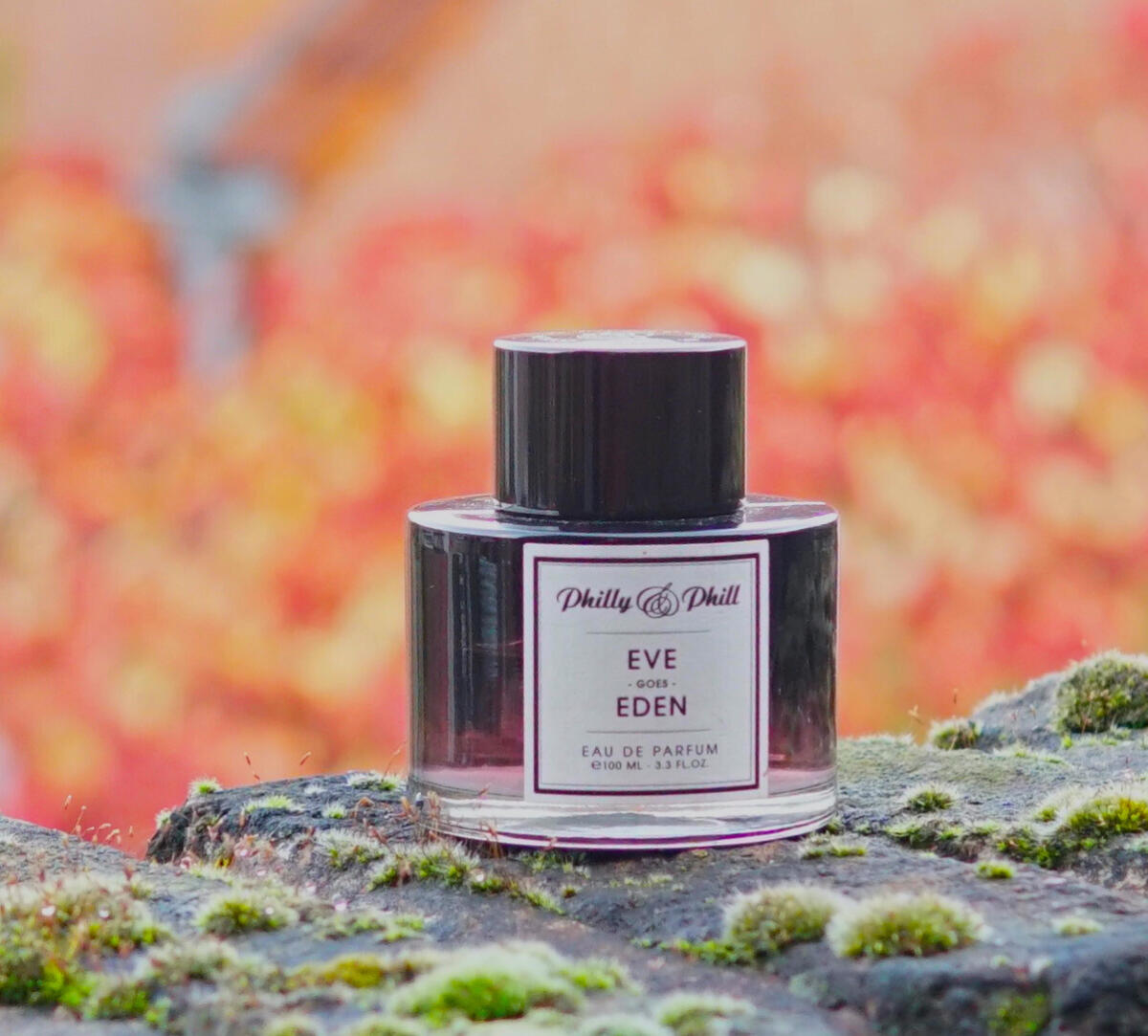 عطر ادکلن ایو گوز ادن فیلادلفیا - Eve Goes Eden Philly&Phill - بررسی، قیمت و خرید