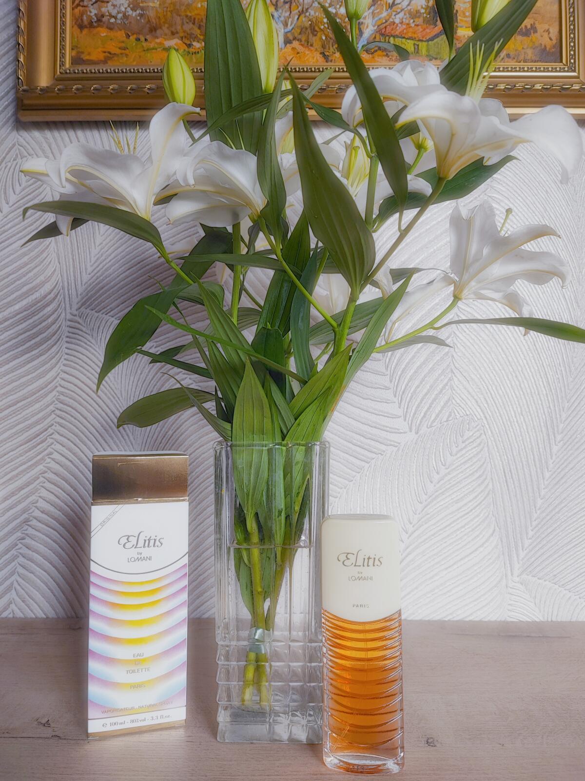 عطر ادکلن الیتیست لومانی - Elitis Lomani - بررسی، قیمت و خرید