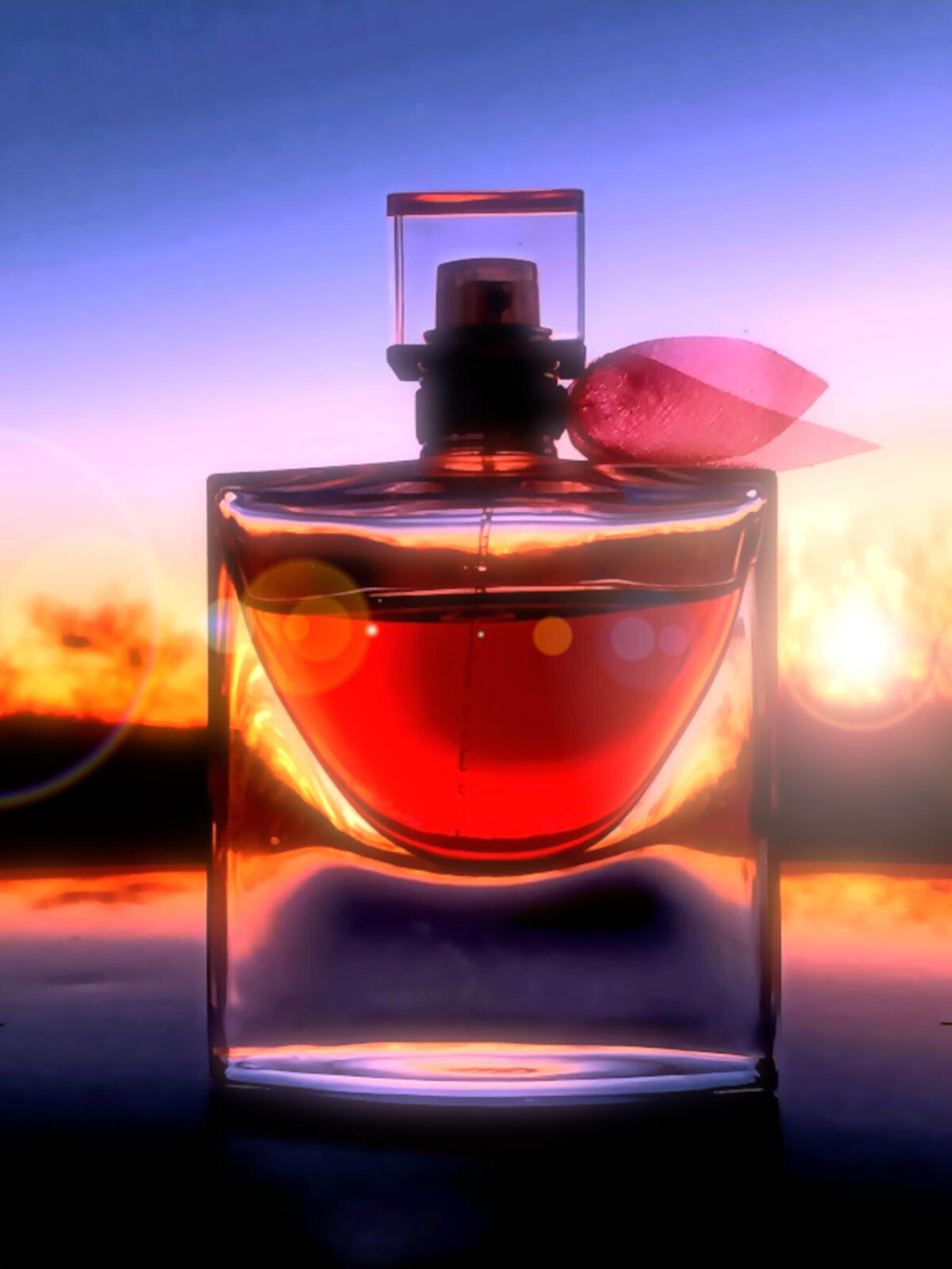 عطر ادکلن لا وی است بل انتنسمنت لانکوم - La Vie Est Belle Intensément Lancôme - بررسی، قیمت و خرید