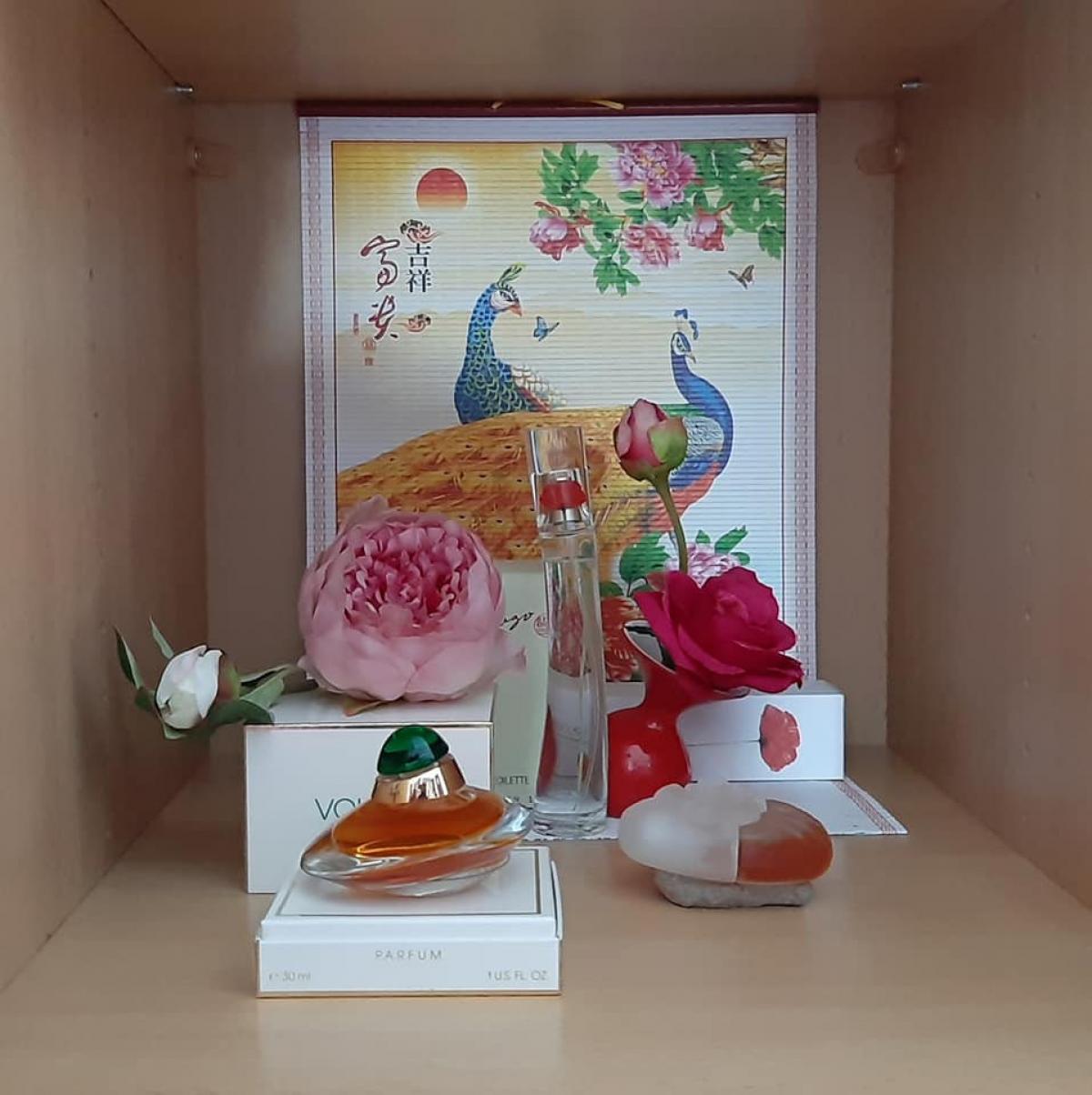 عطر ادکلن فلاور بای کنزو او دو تویلت کنزو - Flower by Kenzo Eau de Toilette (2021) Kenzo - بررسی، قیمت و خرید