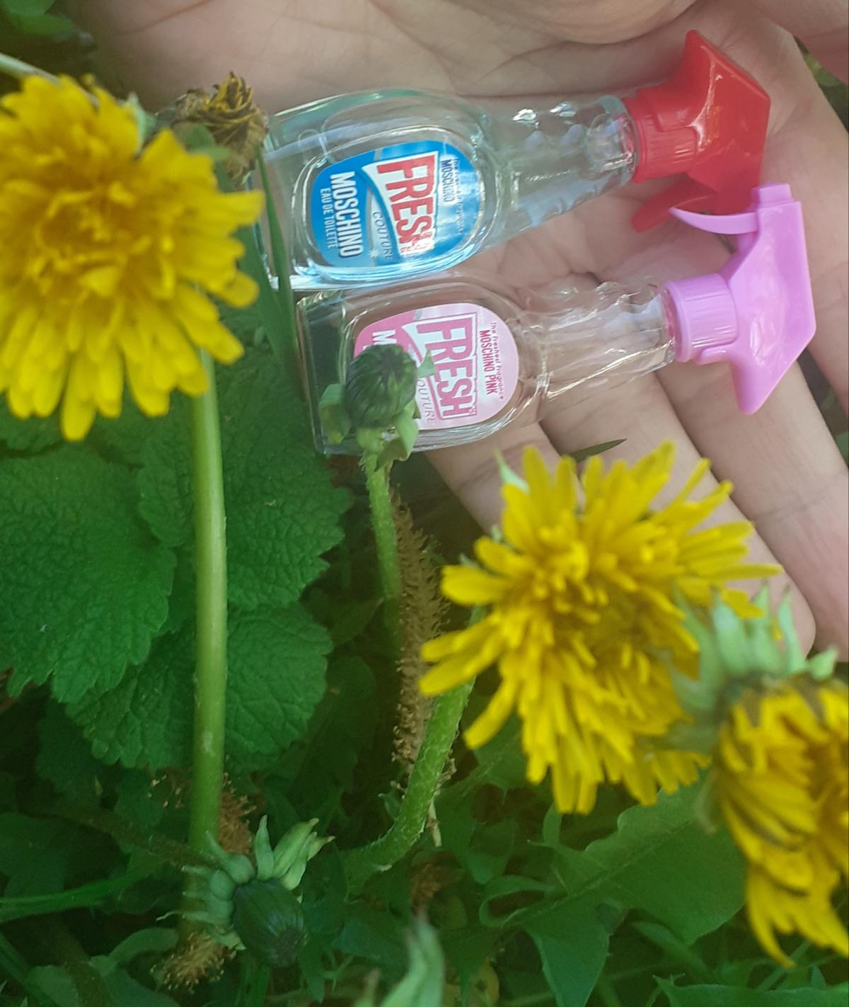 عطر ادکلن پینک فرش کوتور ماسکینو - Pink Fresh Couture Moschino - بررسی، قیمت و خرید