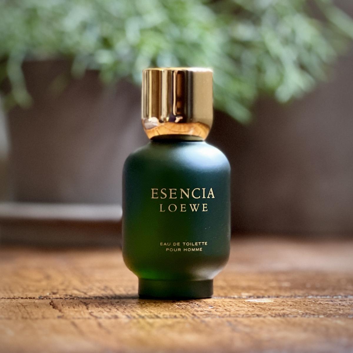 عطر ادکلن اسنسیه پور هوم ۴۰ انیورساریو لوی - Esencia Pour Homme 40 Aniversario Loewe - بررسی، قیمت و خرید