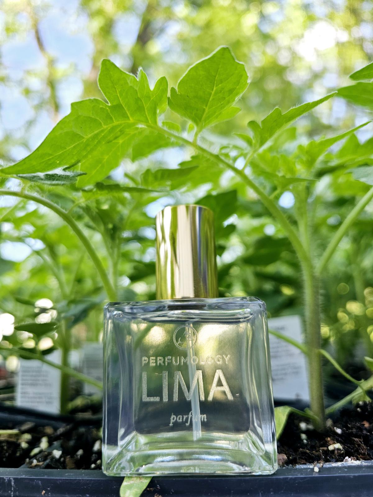 عطر ادکلن لیما پرفیومولوژی - L'Ima Perfumology - بررسی، قیمت و خرید