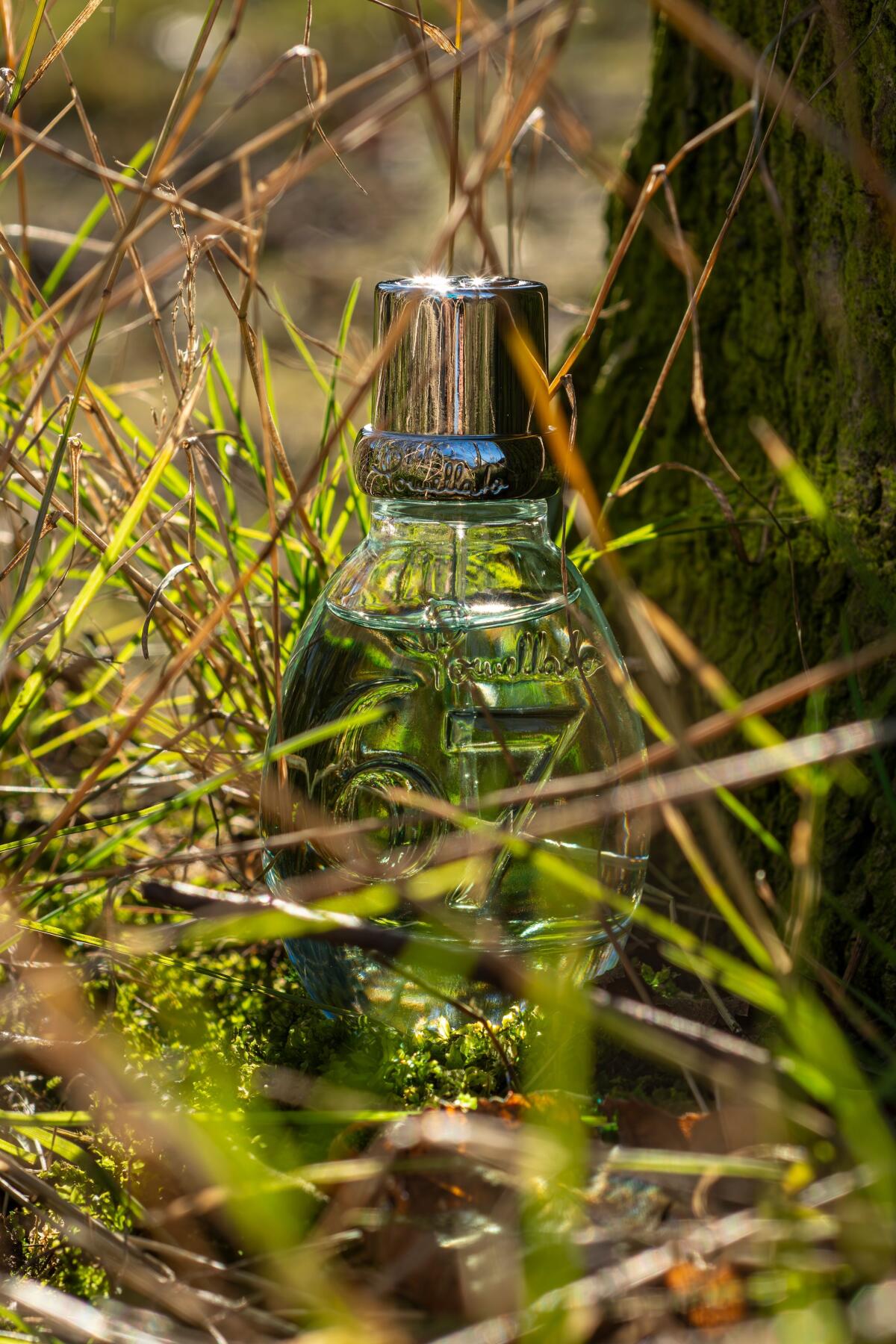 عطر ادکلن شصت و هفت آرتمیزیا پوملاتو - 67 Artemisia Pomellato - بررسی، قیمت و خرید