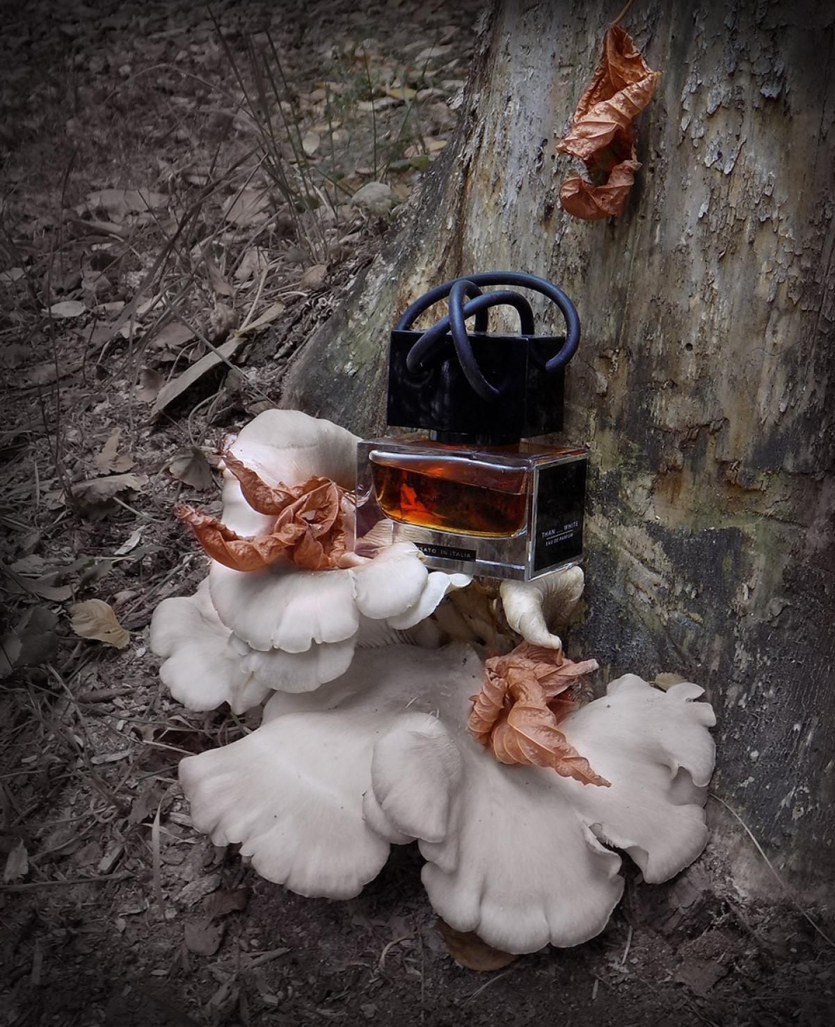 عطر ادکلن ذن وایت نازو دی رزا - Than...White Naso Di Raza - بررسی، قیمت و خرید