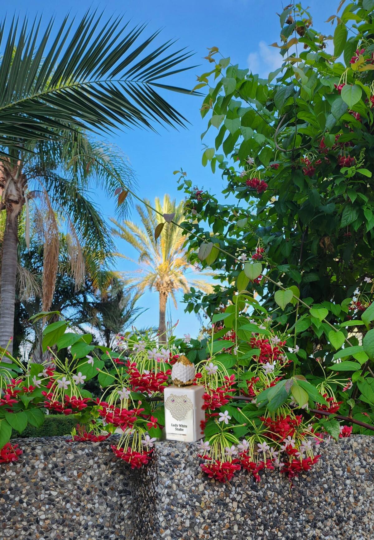 عطر ادکلن ایدن پاردیس د سانس - Eden Paradis des Sens - بررسی، قیمت و خرید