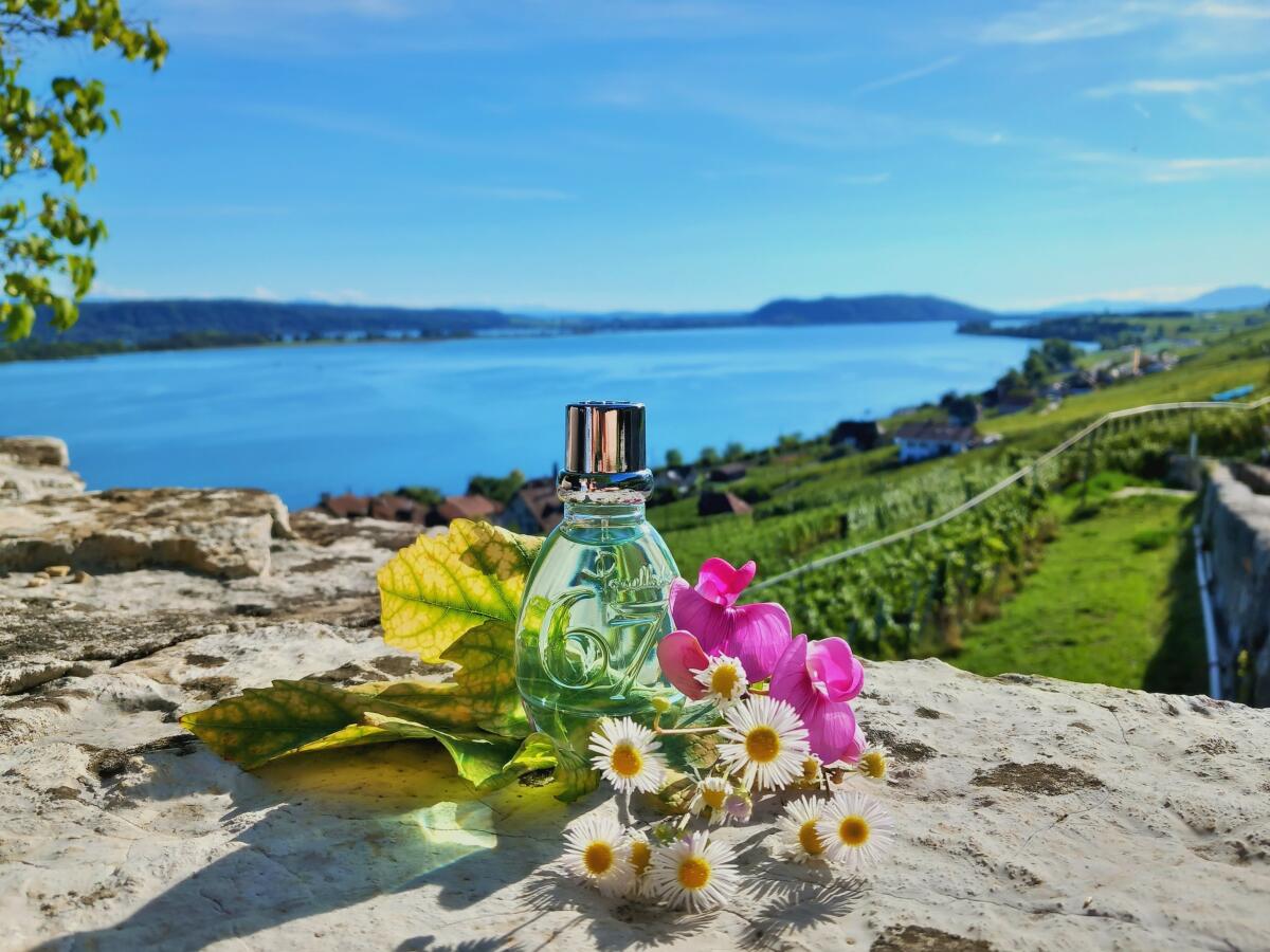 عطر ادکلن شصت و هفت آرتمیزیا پوملاتو - 67 Artemisia Pomellato - بررسی، قیمت و خرید