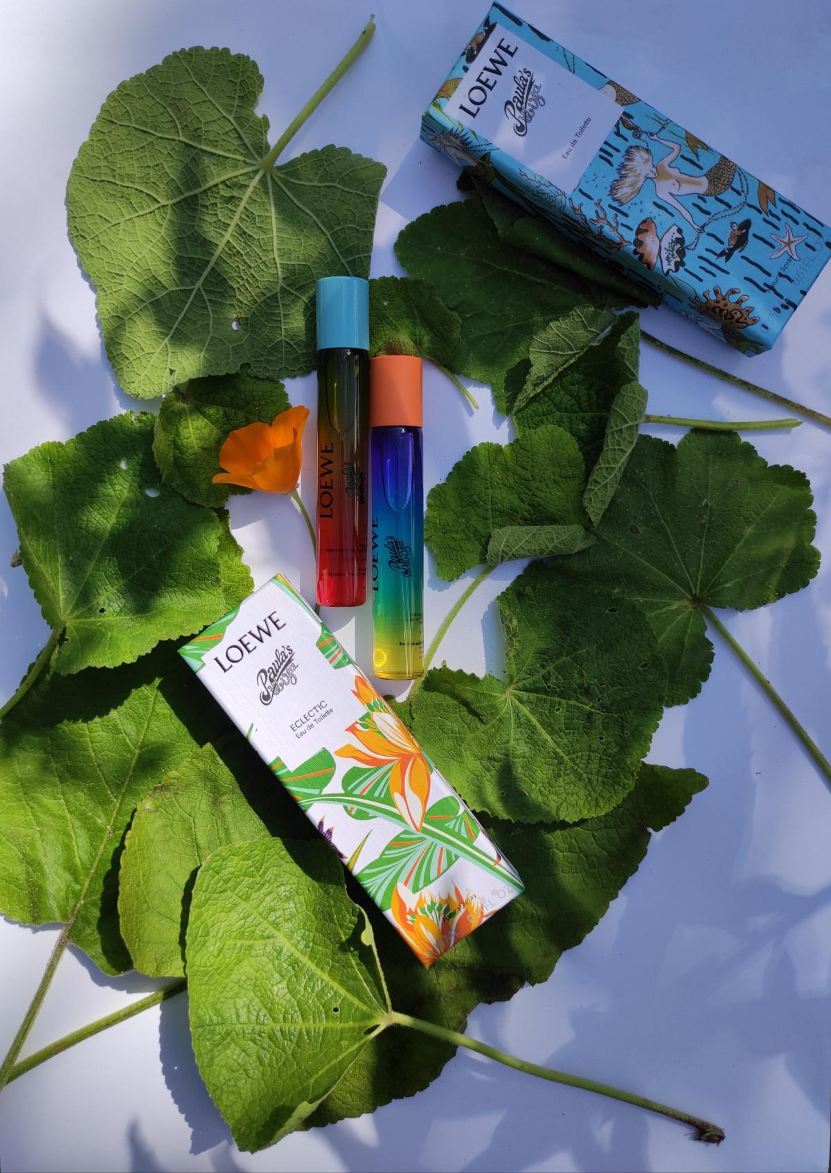 عطر ادکلن پائولاز ایبیزا اکلتیک لووه - Paula's Ibiza Eclectic Loewe - بررسی، قیمت و خرید