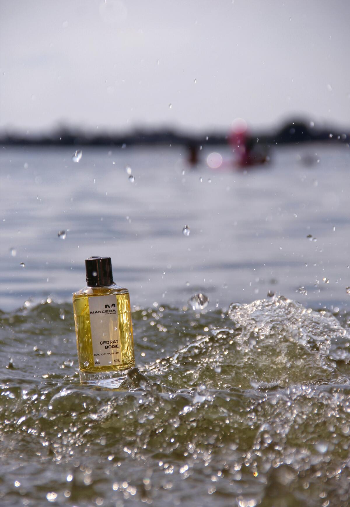 عطر ادکلن سدرات بویز مانسرا - Cedrat Boise Mancera - بررسی، قیمت و خرید