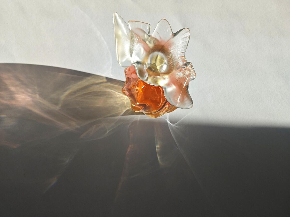عطر ادکلن لِر دو پَرادی نینا ریچی - L'Air du Paradis Nina Ricci - بررسی، قیمت و خرید