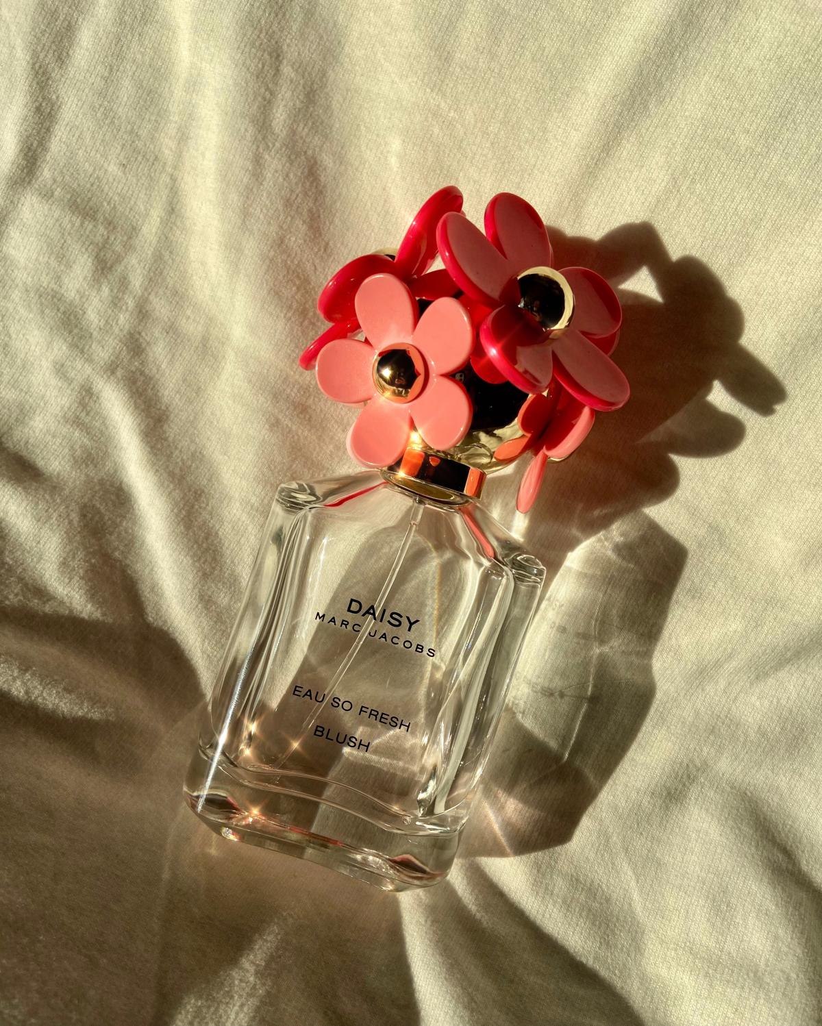 عطر ادکلن دیزی او سو فرش بلاش مارک جیکوبز - Daisy Eau So Fresh Blush Marc Jacobs - بررسی، قیمت و خرید