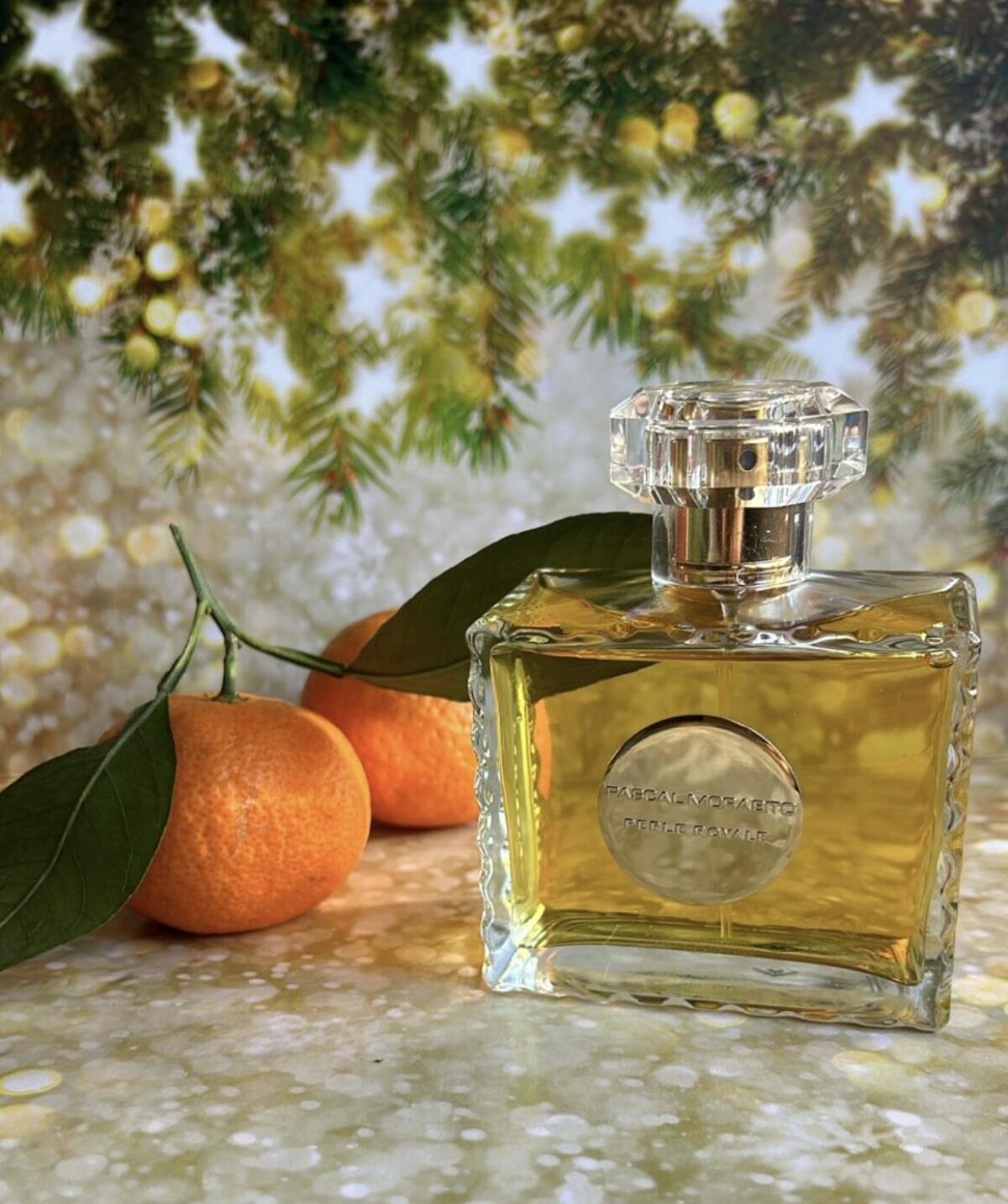 عطر ادکلن پرل رویال پاسکال مورابیتو - Perle Royale Pascal Morabito - بررسی، قیمت و خرید